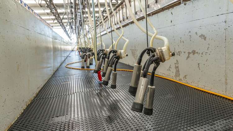 82 Dicks Road Sefton_8