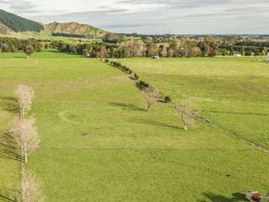 Lot 3, 116 Mangahao Road_4