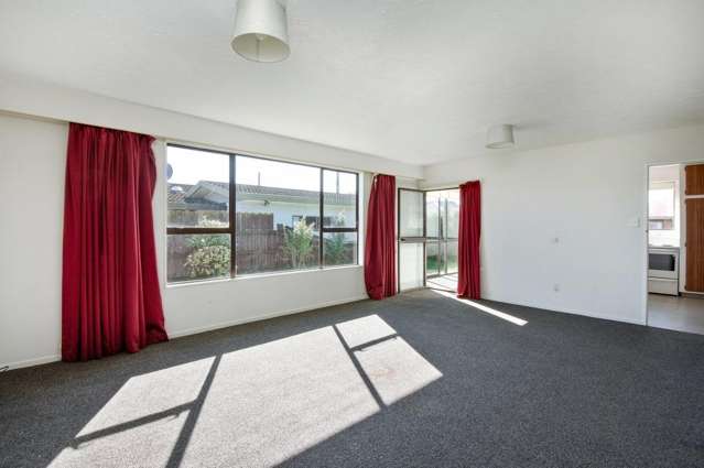 9B Francis Street Blenheim Central_3