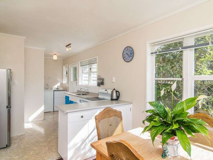 65 Miramar North Road Miramar_9