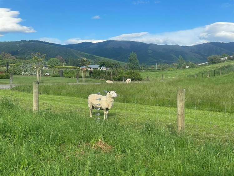 4 Cranfield Place Waimate_7