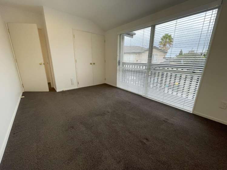 183b Massey Street Frankton_15