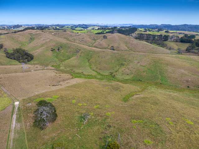 240 Peak Road Helensville_4