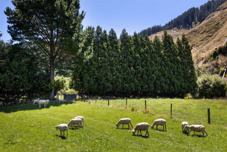 188 Mount Riley Road Havelock_40