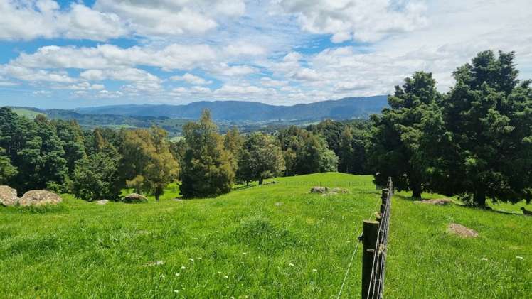 21 Waiare Road Okaihau_31