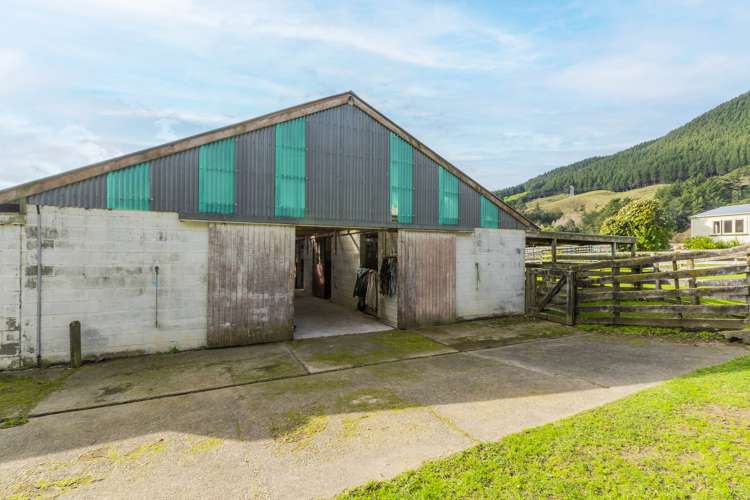 196 Valley Road Paraparaumu_6