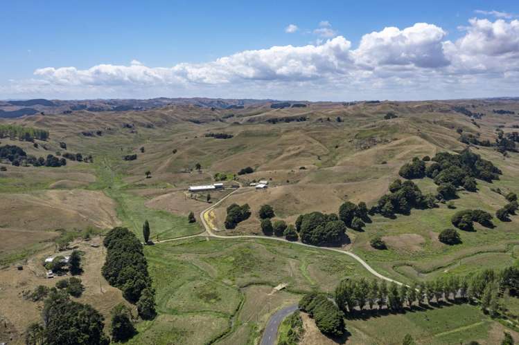 1002 Te Akau Road Te Akau_15
