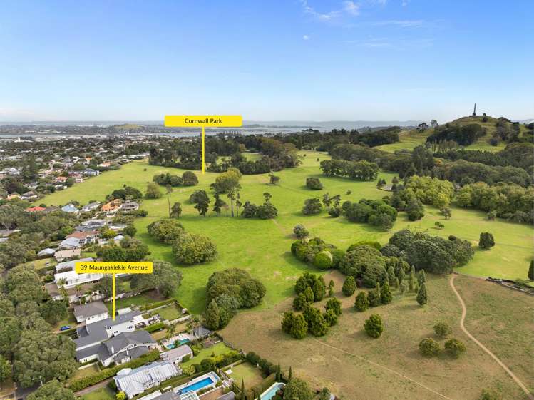 39 Maungakiekie Avenue_4