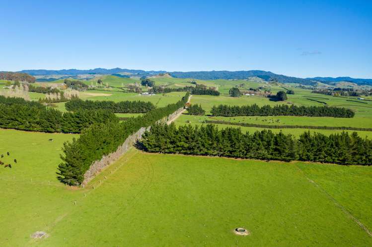 87 Mathers Road Waihi_8