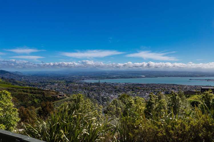 154 Panorama Drive Enner Glynn_18