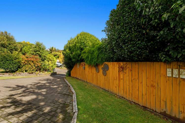 2 Windsor Rise Whakatane_22