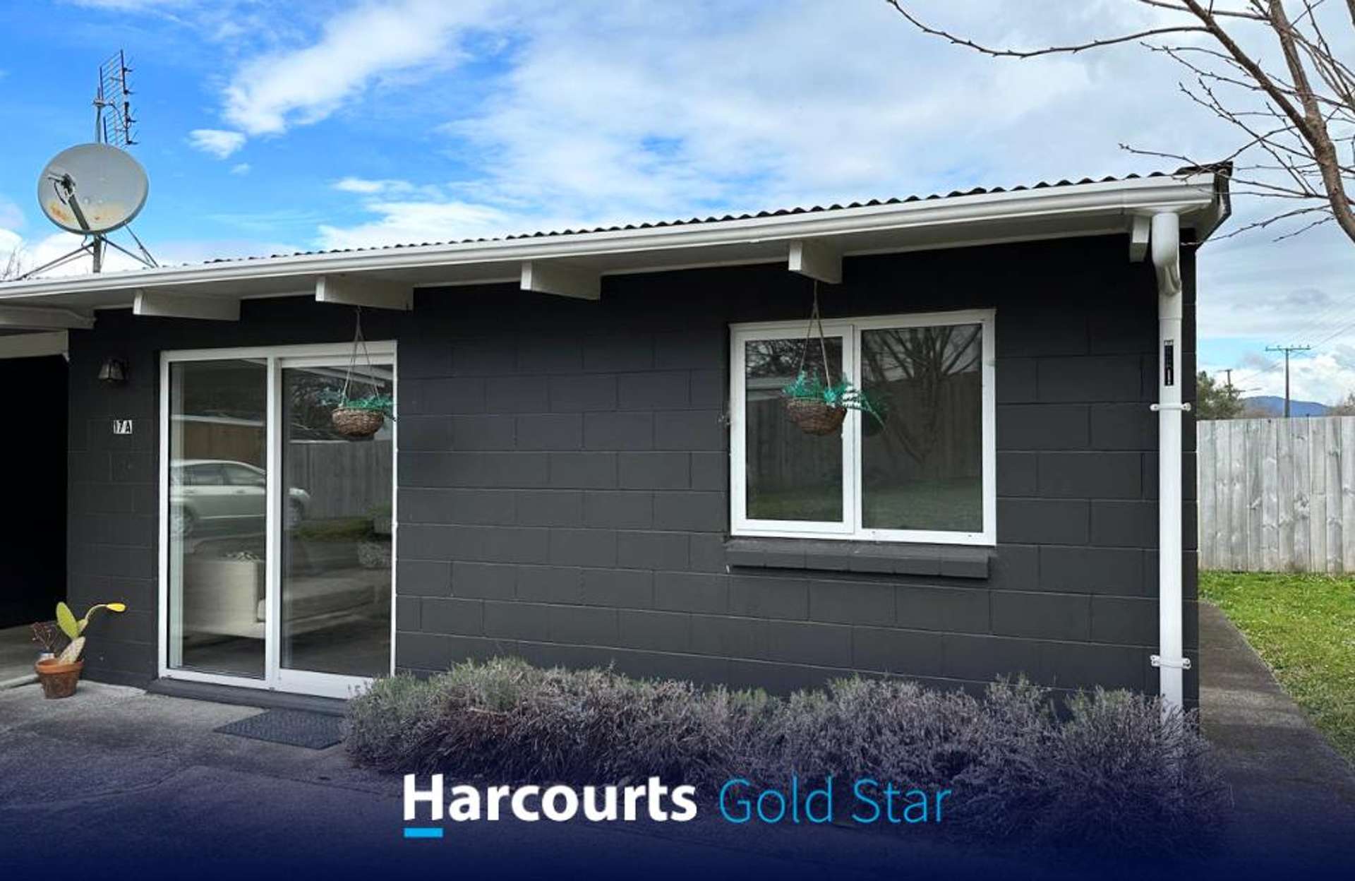 17a Grey Street Waihi_0