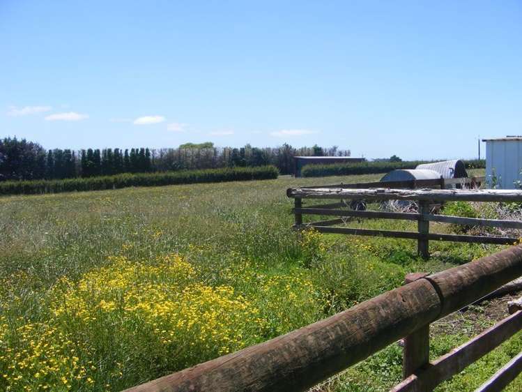 514 Mercer Ferry Road Pukekawa_6