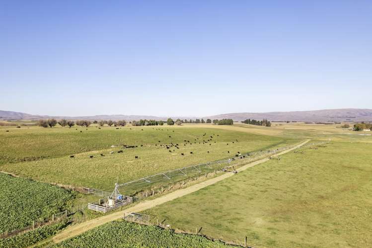 513 Bypass Road Ranfurly_5