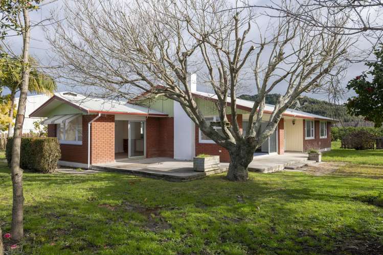 133 Waingake Road_0