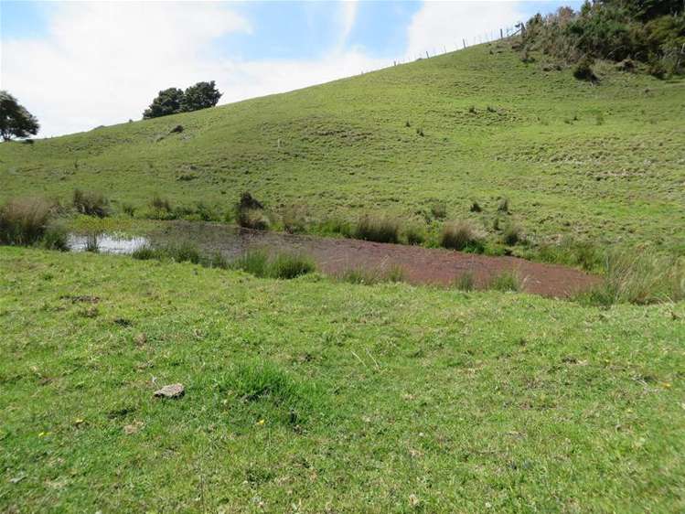 5 Te Opi Road Whakapirau_17