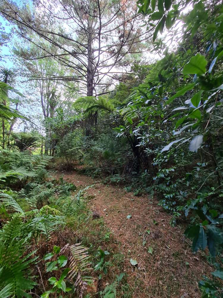 4 Mcdonnell Road Mangapai and Surrounds_23