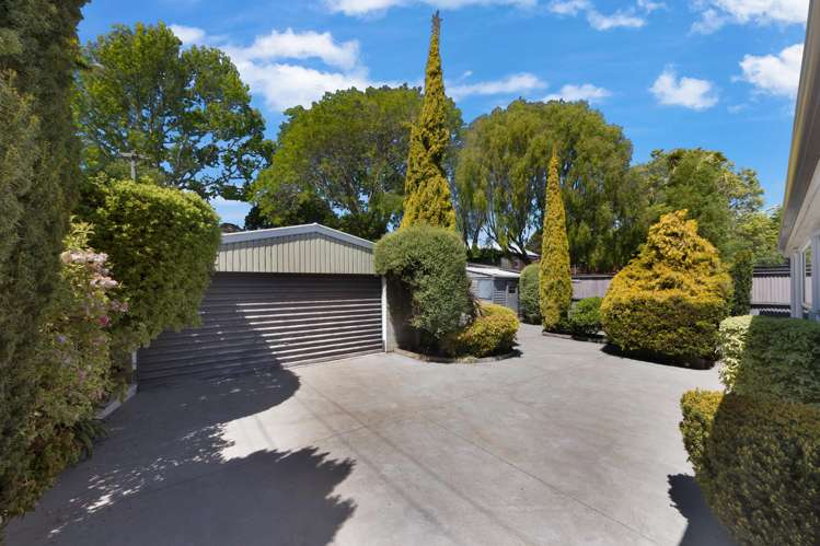 233 Fifield Terrace Opawa_3