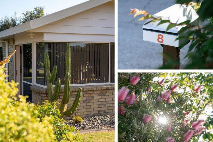 8 Romana Crescent Papamoa_1