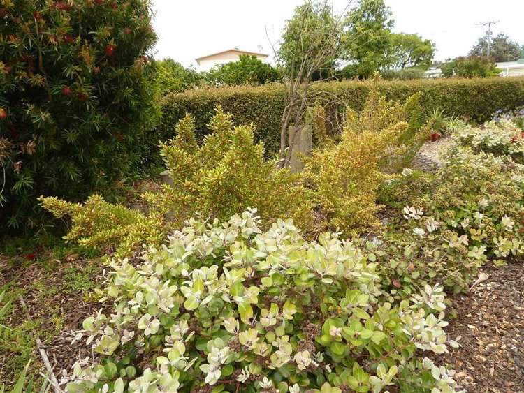 21 West Crescent Te Puru_27