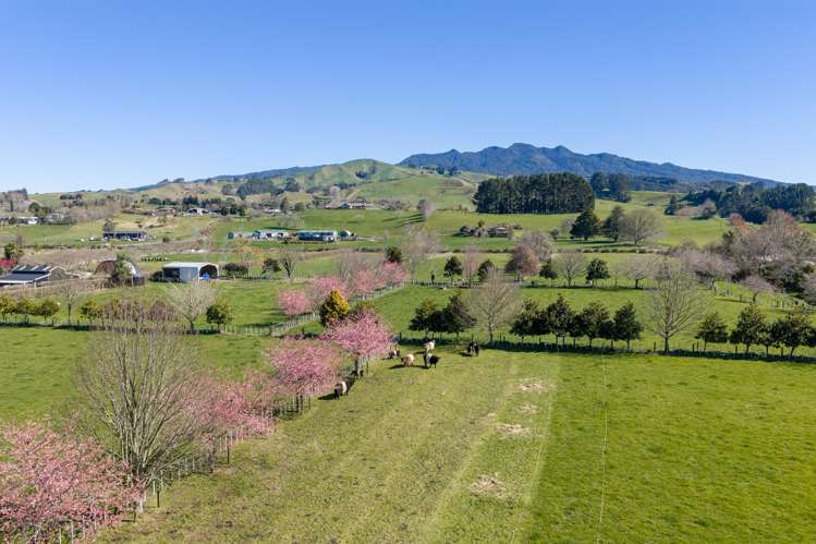 101 Ormsby Road Pirongia_0