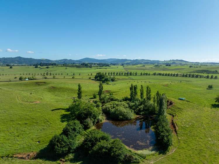 774 Koheroa Road Mercer_5