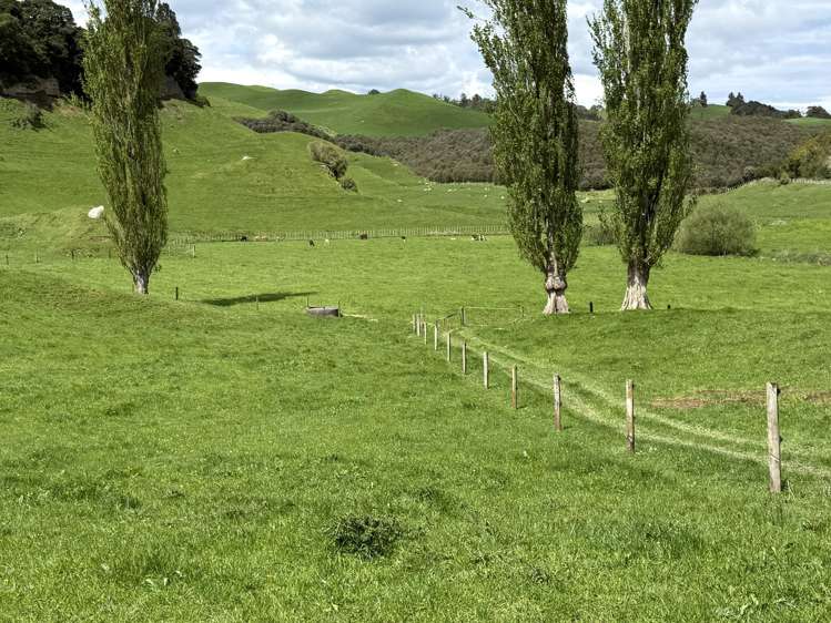 141 Puketirau Road Tirau_9