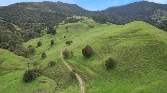 1896 Omana Road Pukehuia_1