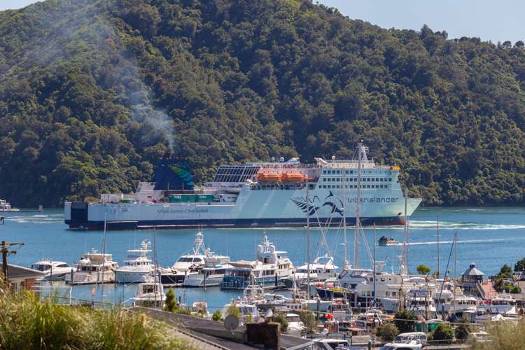 18a Russell Street Picton_14