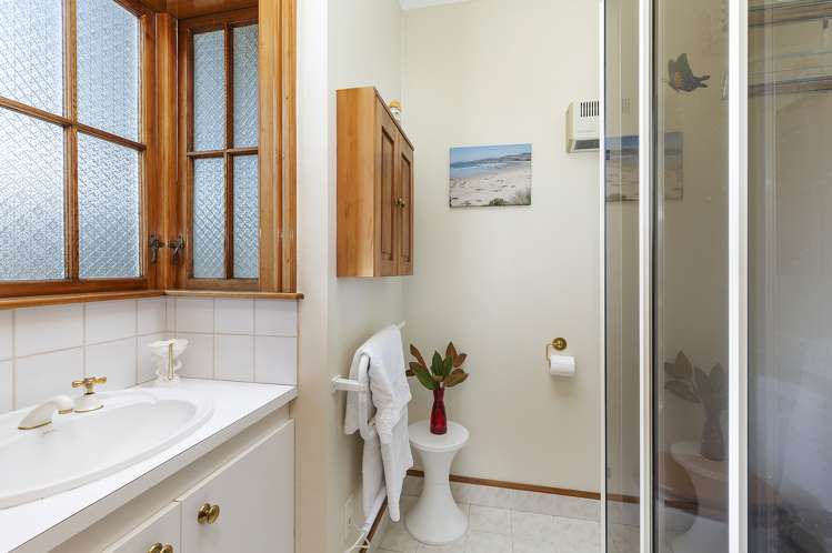 46a Devonshire Road Miramar_9