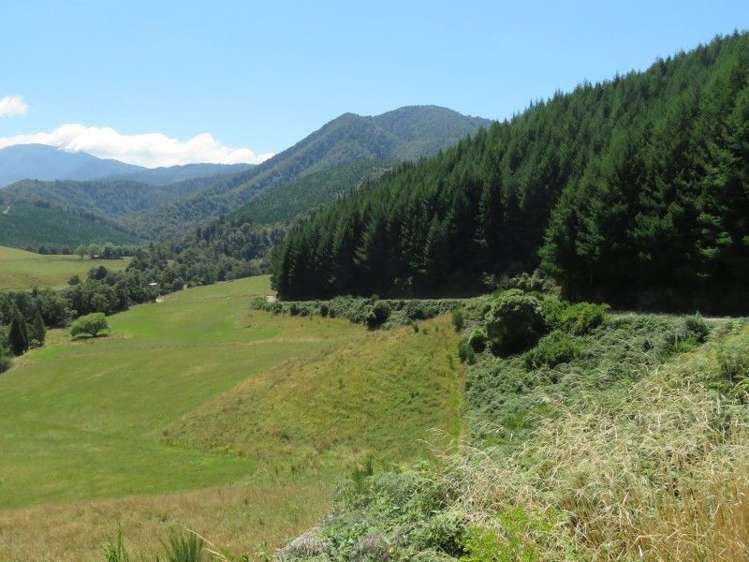 472 Maungatapu Road Rai Valley_14