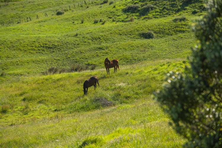 153 Wheatstone Road Wainui_33