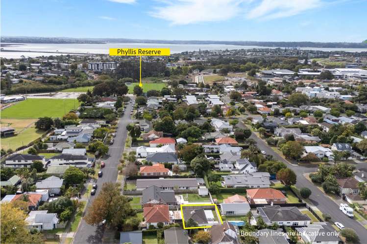 1a Phyllis Street Mount Albert_25