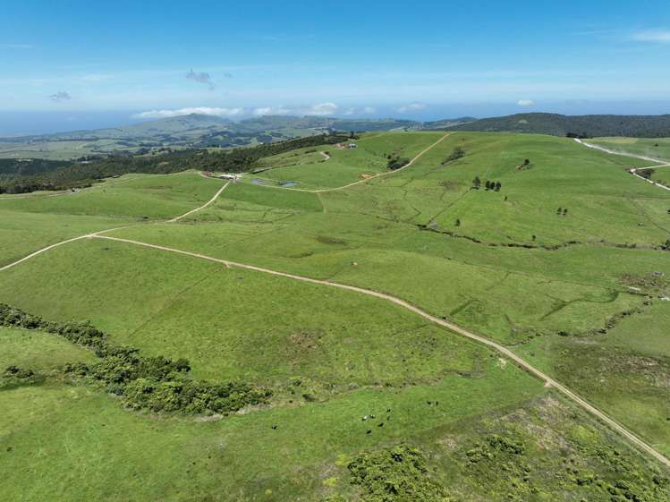 89 Jones Road Donnellys Crossing_4