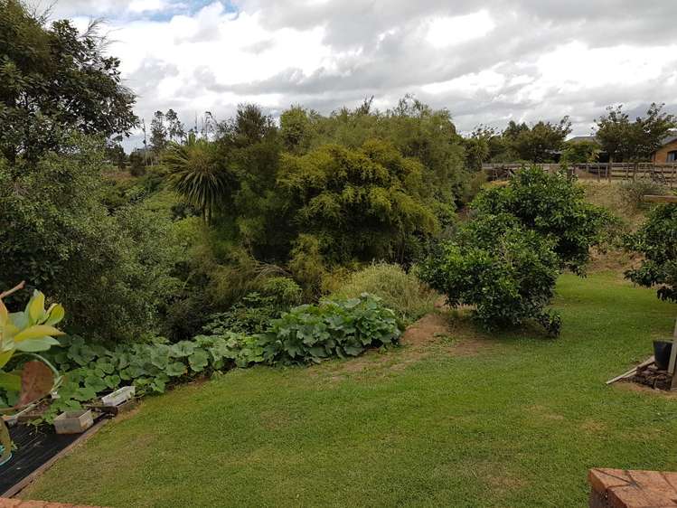 645 Beechey Street Pirongia_5