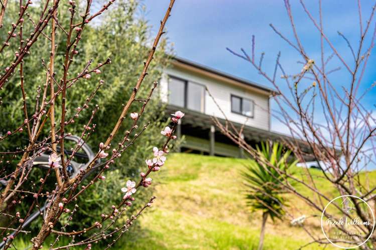 1122D Whakapirau Road Whakapirau_8