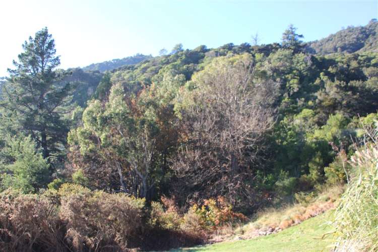 20 Russell Street Picton_15