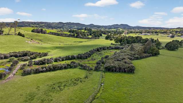 54 Edgerley Road Kaipara Flats_4