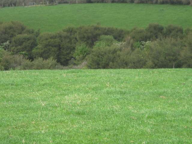 174 Morrison Road Pukekawa_3