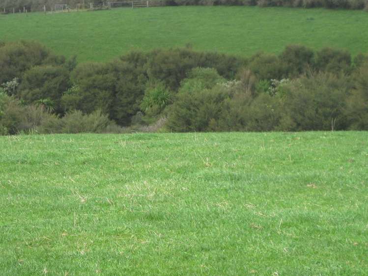 174 Morrison Road Pukekawa_3