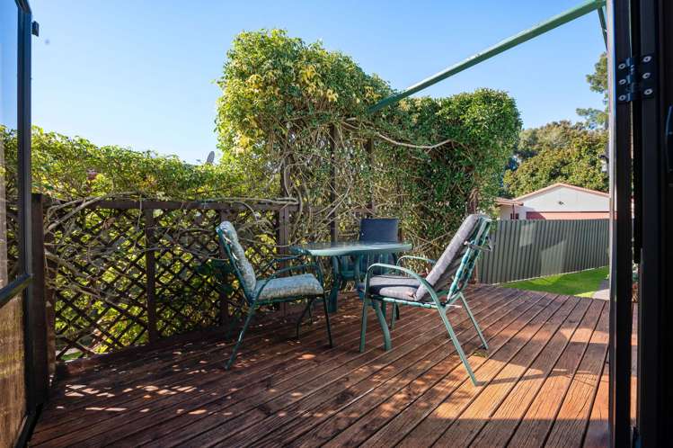 17 Hibiscus Avenue Hamilton Lake_11