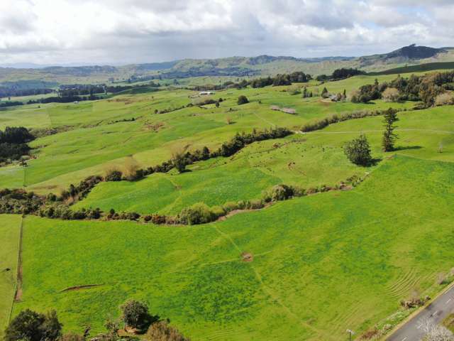 Productive King Country Grazing Farm
