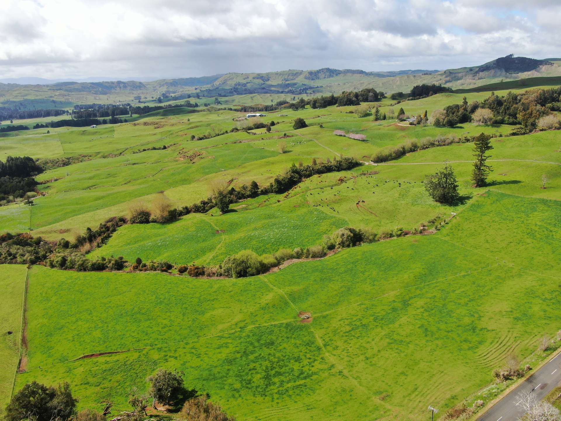 694 Troopers Road Te Kuiti_0