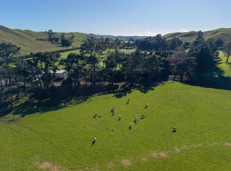 453 Tetley Brook Road Seddon_33