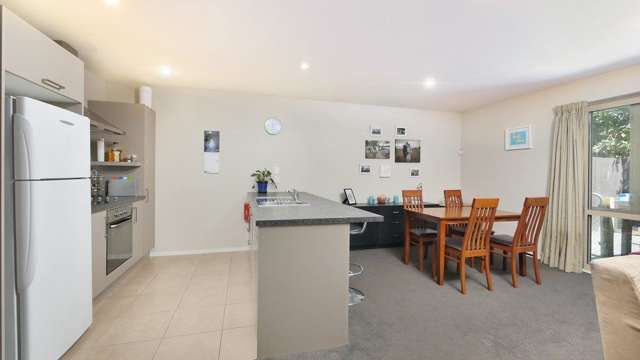 104a Southampton Street Sydenham_3