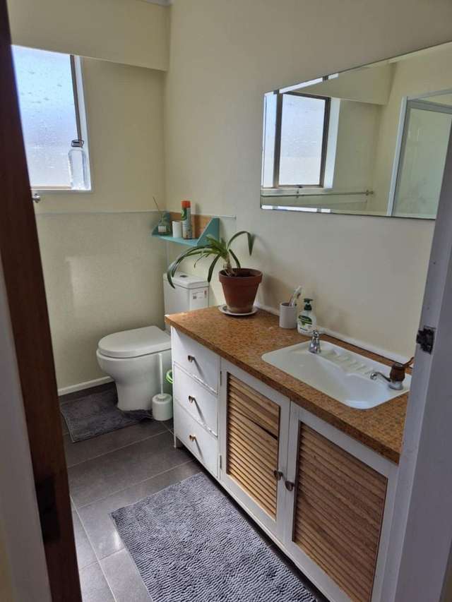 54 Oroua Street Eastbourne_4