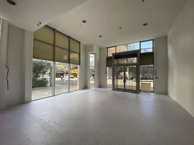 205 Hobson Street Auckland Central_2