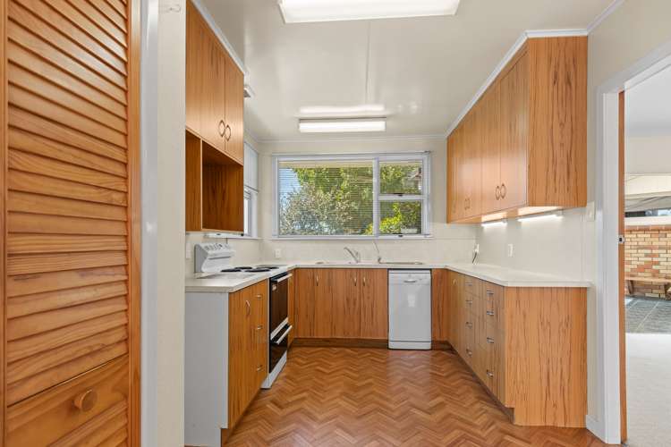 91 Manu Crescent Upper Vogeltown_9