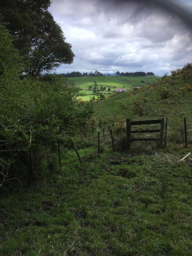 3820 State Highway 1 Towai_2