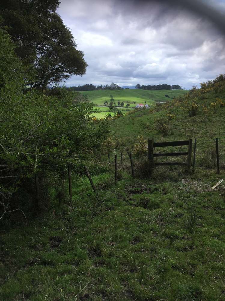 3820 State Highway 1 Towai_2